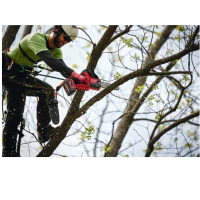 M18 FHS20-552 HATCHET™ Pilarka łańcuchowa do gałęzi 20 cm] Milwaukee kod. 4933480118