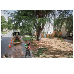 M18 FTPS30-121 Podkrzesywarka 30 cm Milwaukee kod. 4933480869