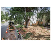 M18 FTPS30-121 Podkrzesywarka 30 cm Milwaukee kod. 4933480869