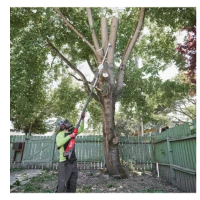 M18 FTPS30-0 Podkrzesywarka 30 cm Milwaukee kod. 4933480868