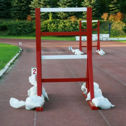 Drewniana drabiniasta ściana MDP do sztafety [MS] kod. MDP15