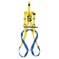 Zestaw asekuracyjny ROLER 2