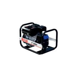 Agregat prądotwórczy FOGO F 3001