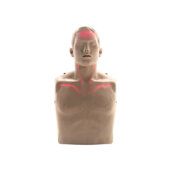 Fantom Brayden LED red