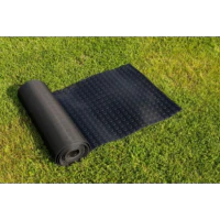 Wykładzina do tunelu [MS]