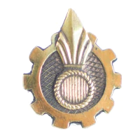 Odznaka korpusu PSP
